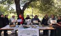 برگزاری صبحانه سالم و ورزش جهت سالمندان در پارک جهاندیدگان