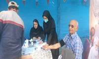 برگزاری میز ارائه خدمات بهداشتی جهت سالمندان در باغ فاتح