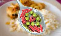 مطالب آموزشی پیشگیری از بیماریهای منتقله از غذا در شرایط اضطراری